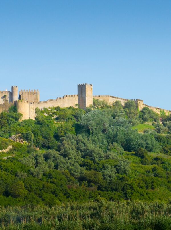 Step into the medieval charm of Óbidos, Portugal’s picturesque walled town, where history and festivals come alive – experience it with Tour Map Portugal